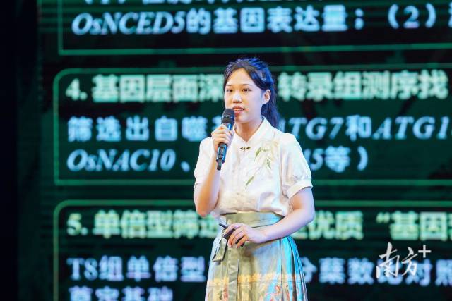 南方+ 許舒智 拍攝